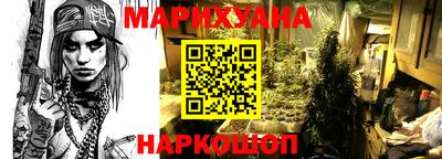 Альфа ПВП Будённовск