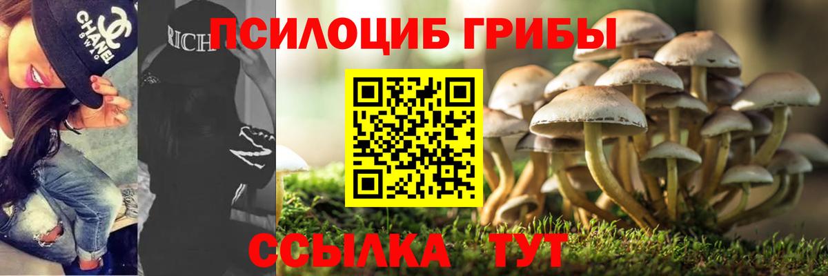 Светлоград  Галлюциногенные грибы мицелий  Вход с VPN 